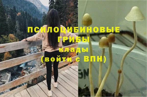 прущая мука Волоколамск