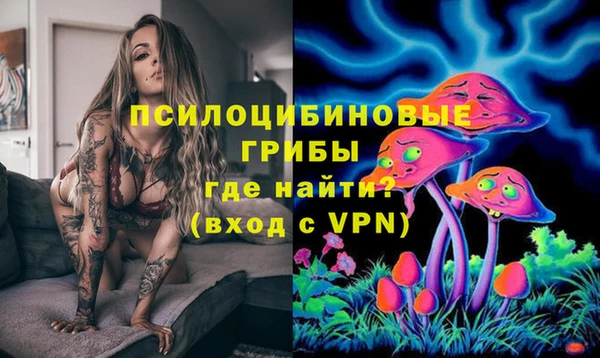 СК Володарск