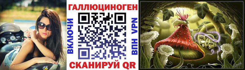где найти наркотики  omg ONION  Галлюциногенные грибы Magic Shrooms  Раменское 